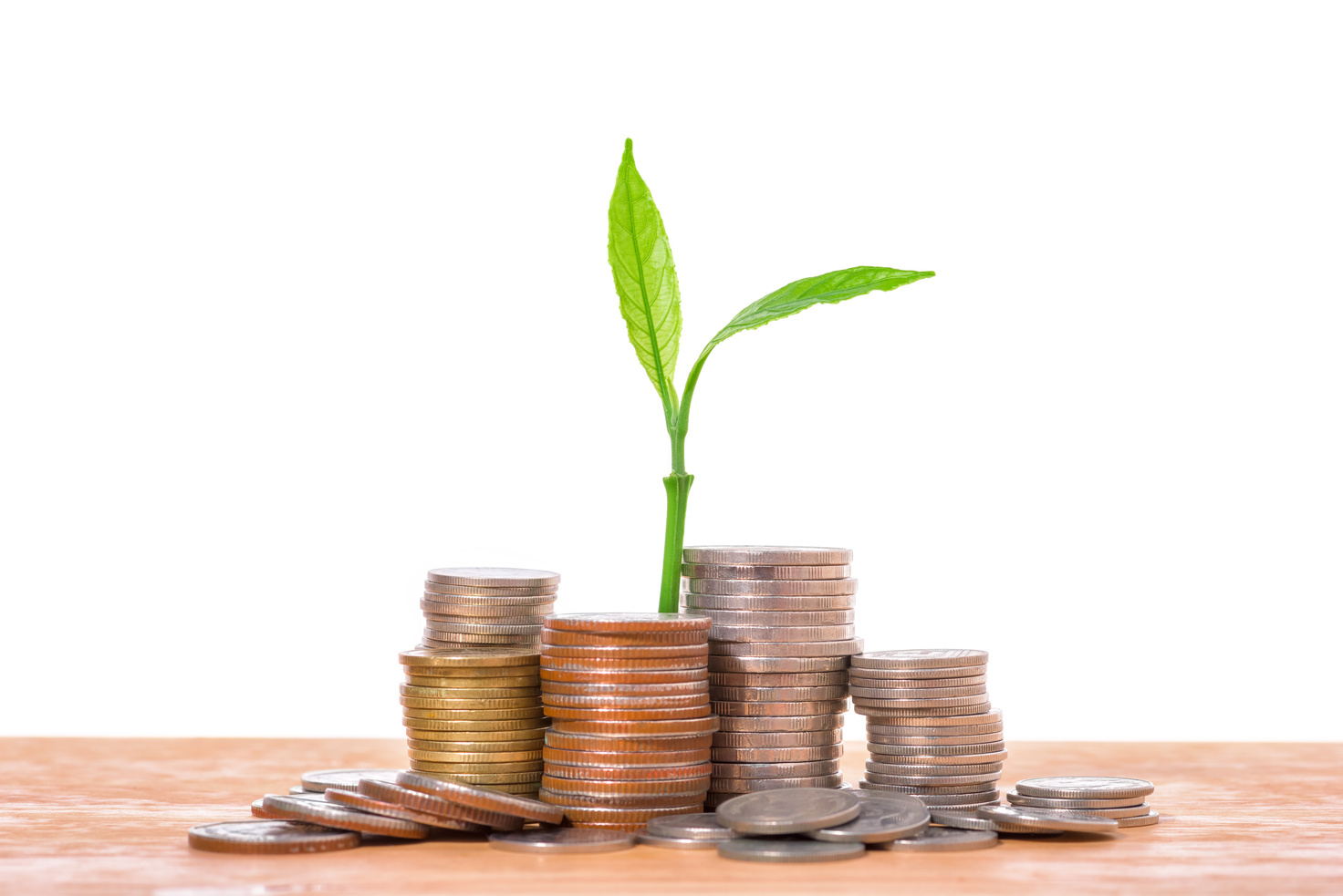 Plant growing in savings coins - money saving concept